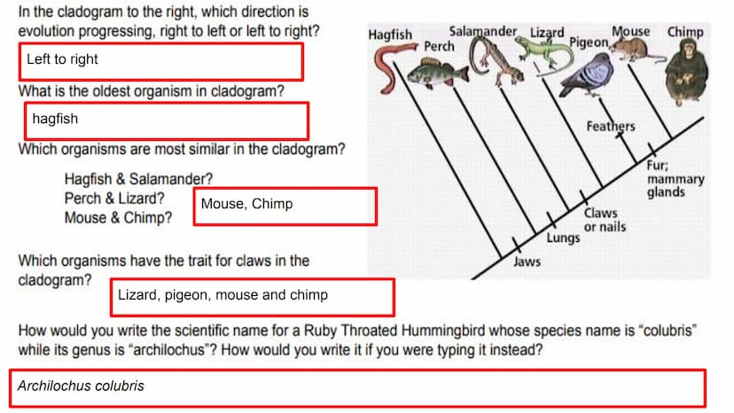 EOC Review Day 7
Evolution &
Unity and Diversity Evidence
Fossil - Trace of organism
Relative dating= lower older
• Comparative anatomy
O
Ho