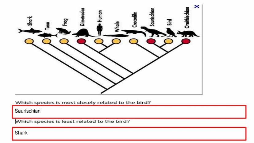 EOC Review Day 7
Evolution &
Unity and Diversity Evidence
Fossil - Trace of organism
Relative dating= lower older
• Comparative anatomy
O
Ho