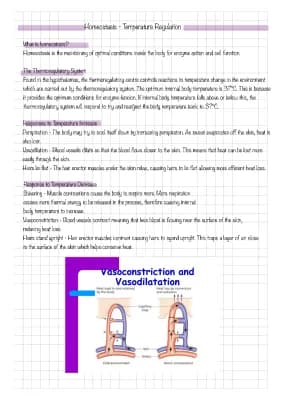 Know Homeostasis - The Thermoregulatory System thumbnail