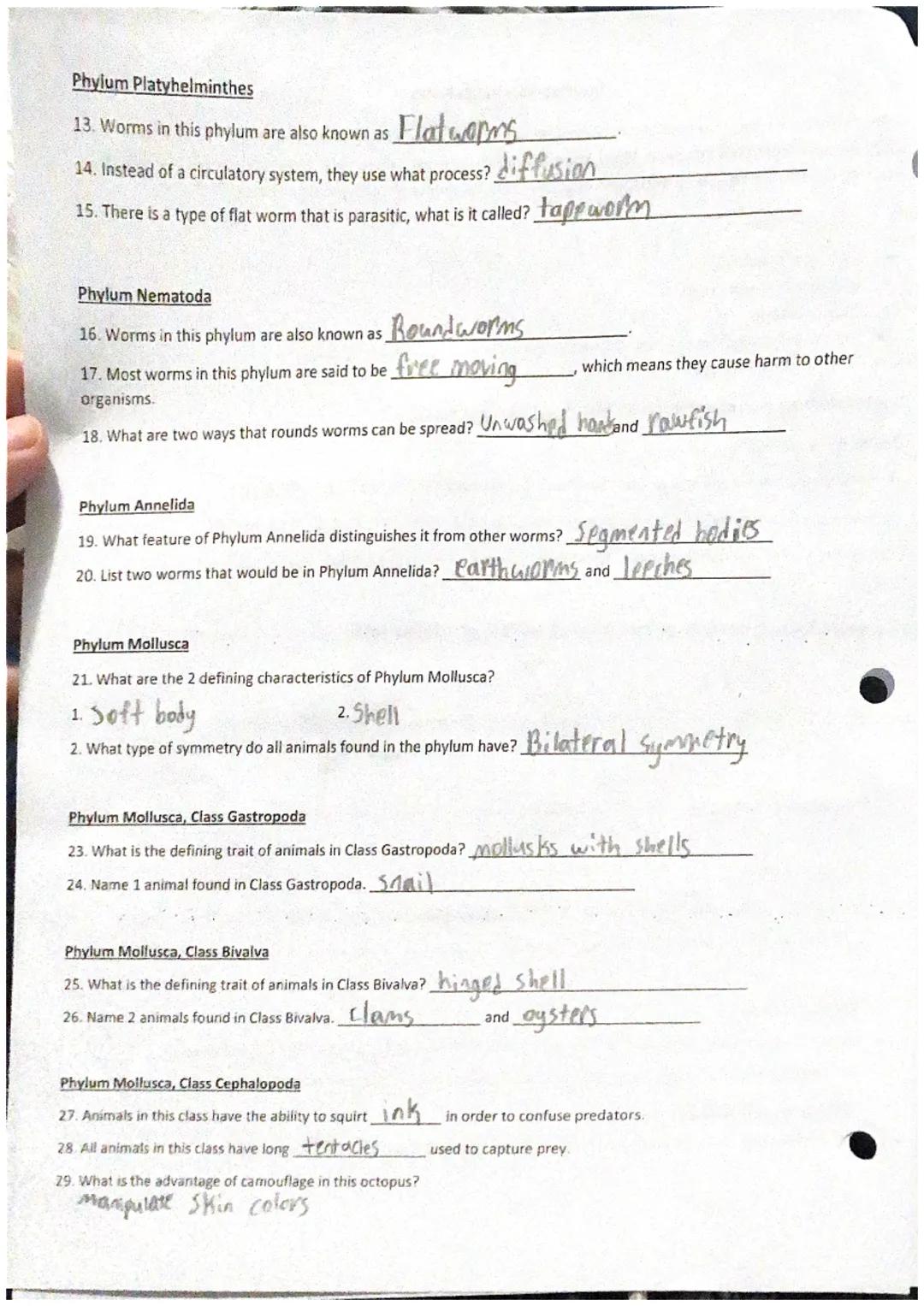 ***
Objective: Students will use a set of online notes to complete the WS. Upon completion students will be able to
cognize the 3 different 