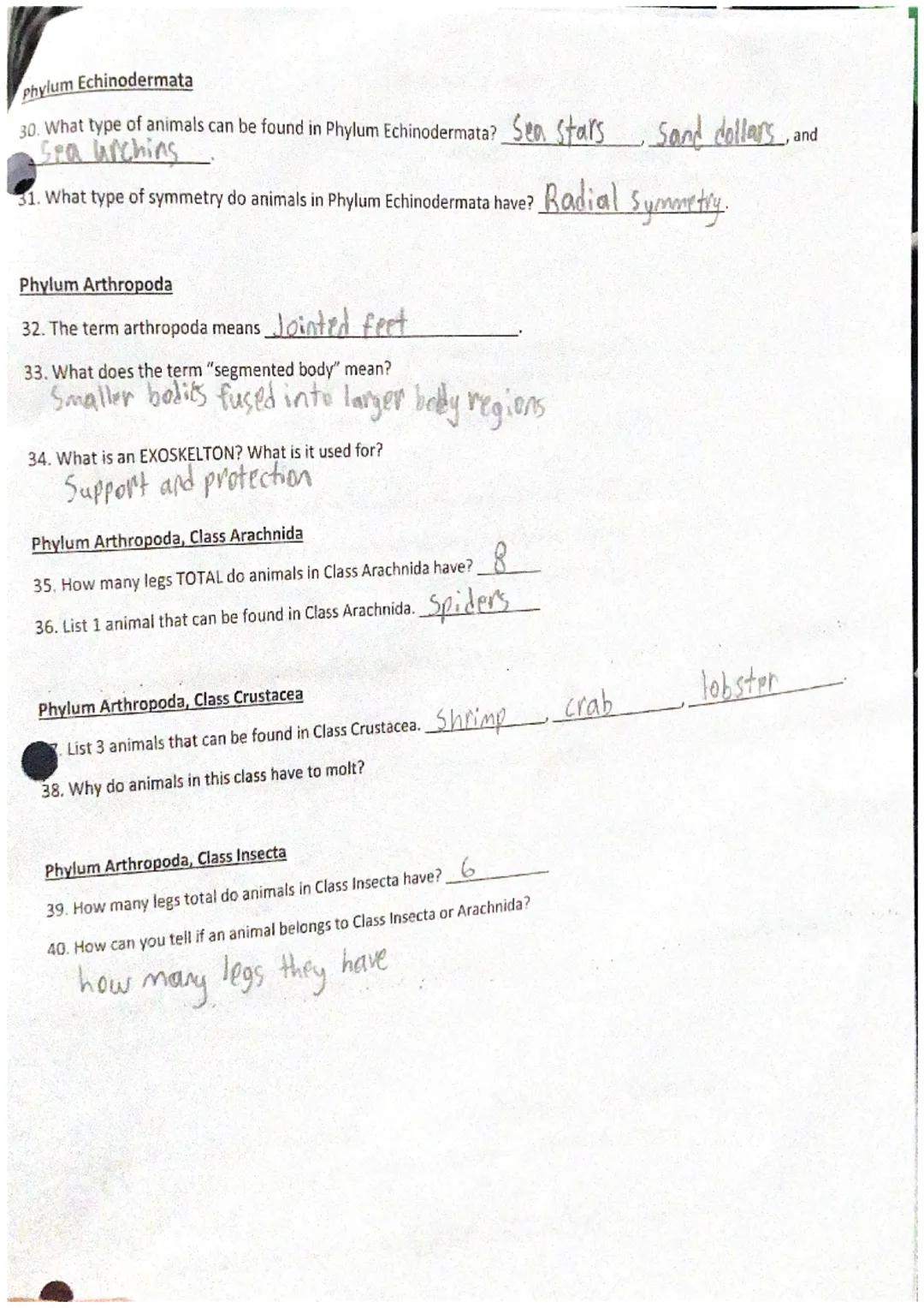 ***
Objective: Students will use a set of online notes to complete the WS. Upon completion students will be able to
cognize the 3 different 