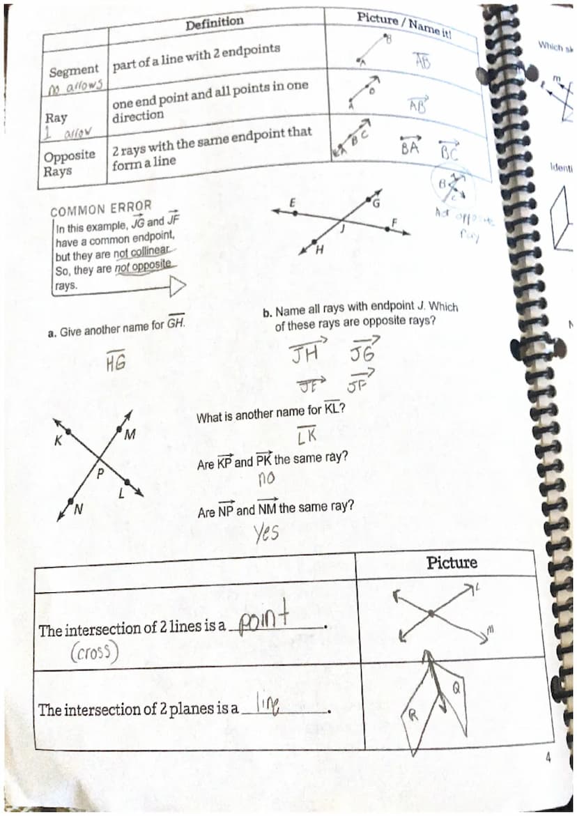 1.1 Points, Lines, and Planes
Point
Line
Plane
Collinear
Points
Coplanar
Points
Geometry
Chapter 1- Basics of Geometry
Definition
location w