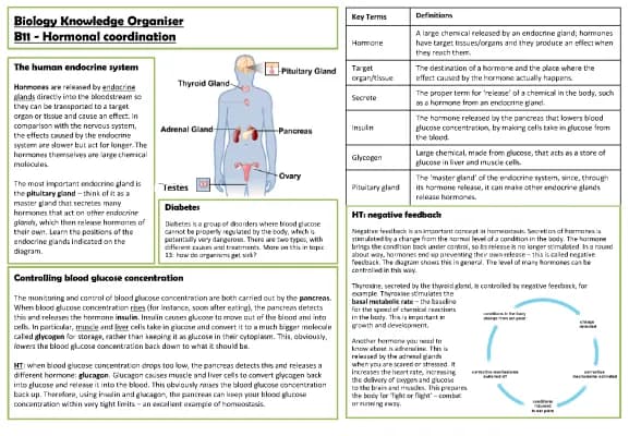 Know Hormones  thumbnail