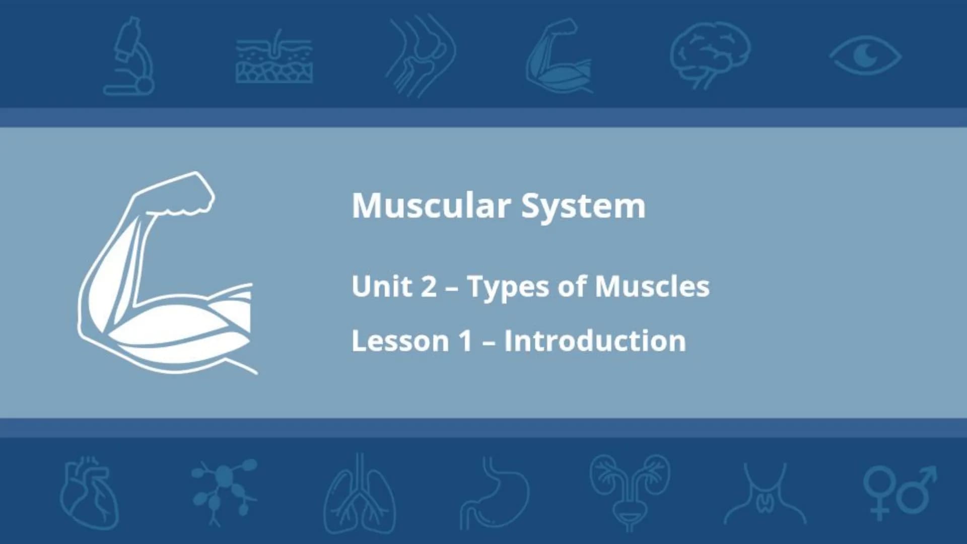 $$
Muscular System
Unit 2 - Types of Muscles
Lesson 1 - Introduction
s go yo ço Learning Objectives
• Describe the three types of
muscle tis