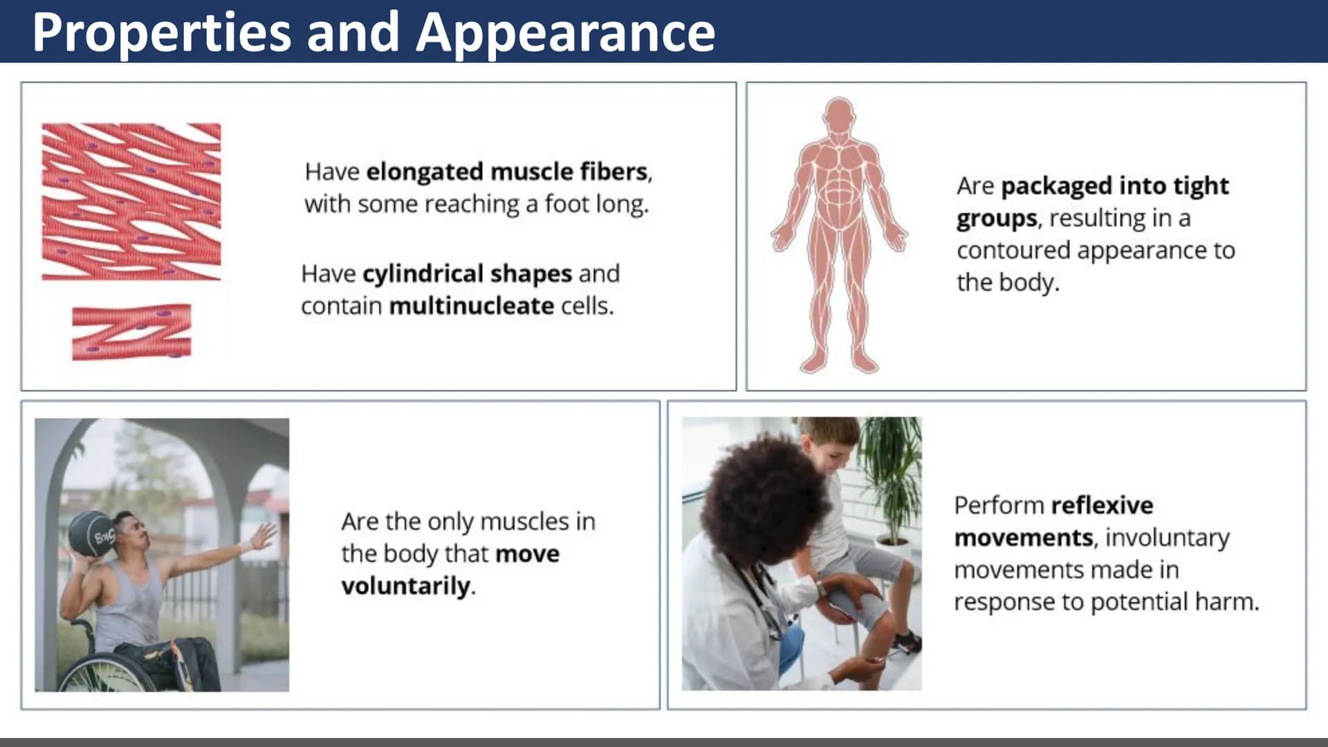 $$
Muscular System
Unit 2 - Types of Muscles
Lesson 1 - Introduction
s go yo ço Learning Objectives
• Describe the three types of
muscle tis