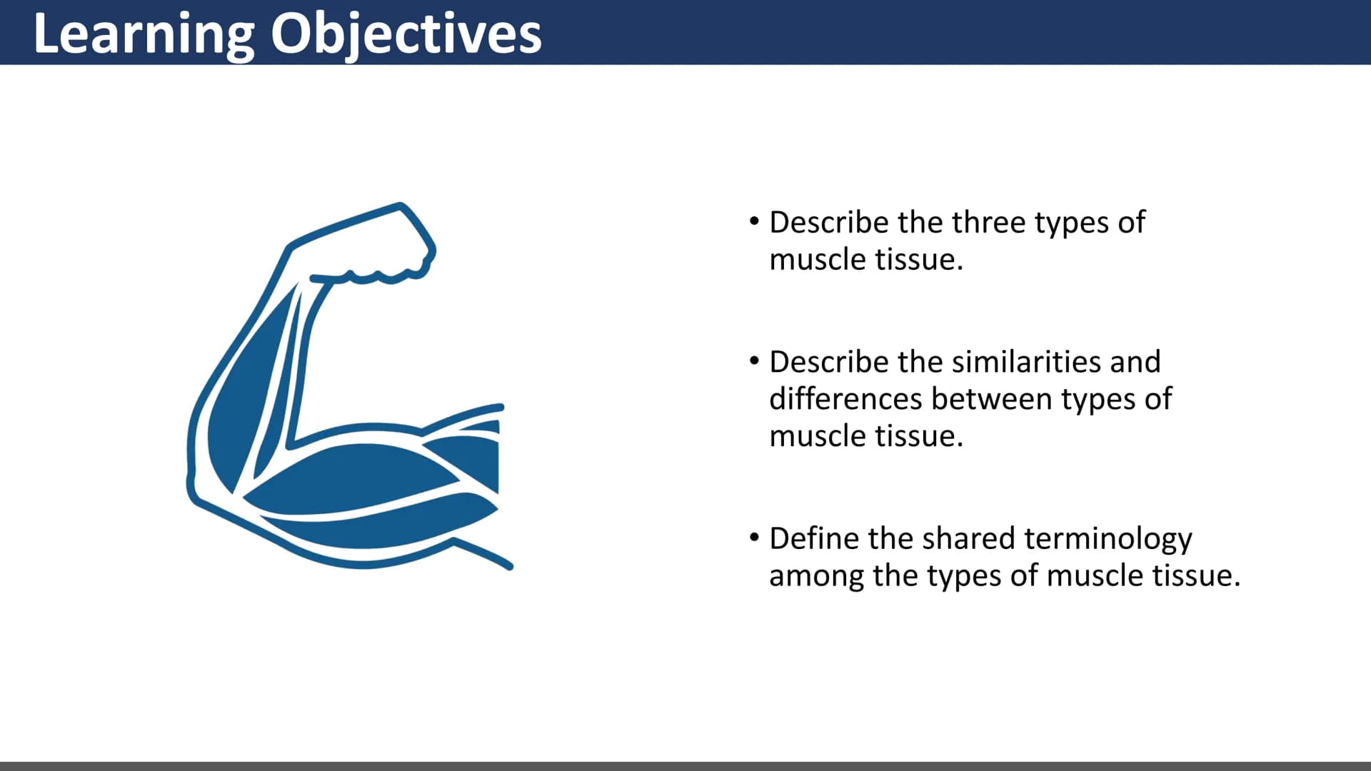 $$
Muscular System
Unit 2 - Types of Muscles
Lesson 1 - Introduction
s go yo ço Learning Objectives
• Describe the three types of
muscle tis