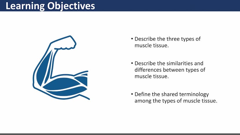 $$
Muscular System
Unit 2 - Types of Muscles
Lesson 1 - Introduction
s go yo ço Learning Objectives
• Describe the three types of
muscle tis