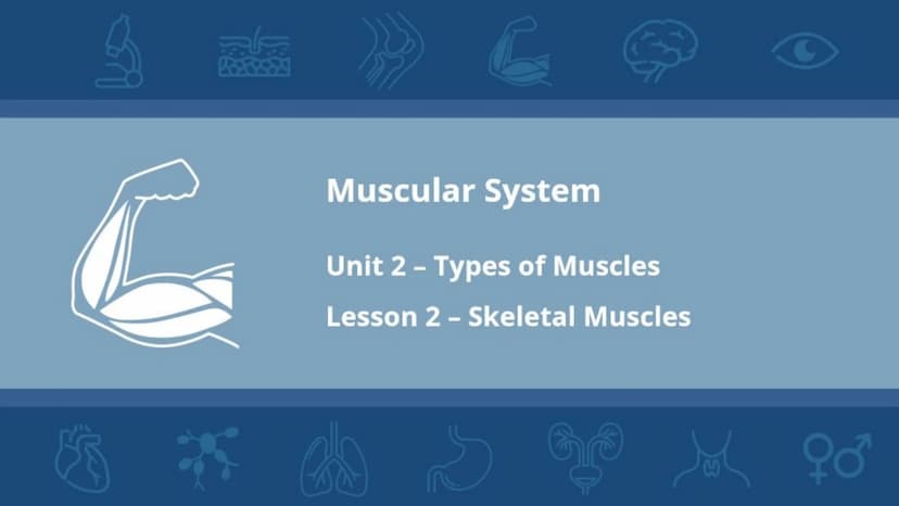 $$
Muscular System
Unit 2 - Types of Muscles
Lesson 1 - Introduction
s go yo ço Learning Objectives
• Describe the three types of
muscle tis