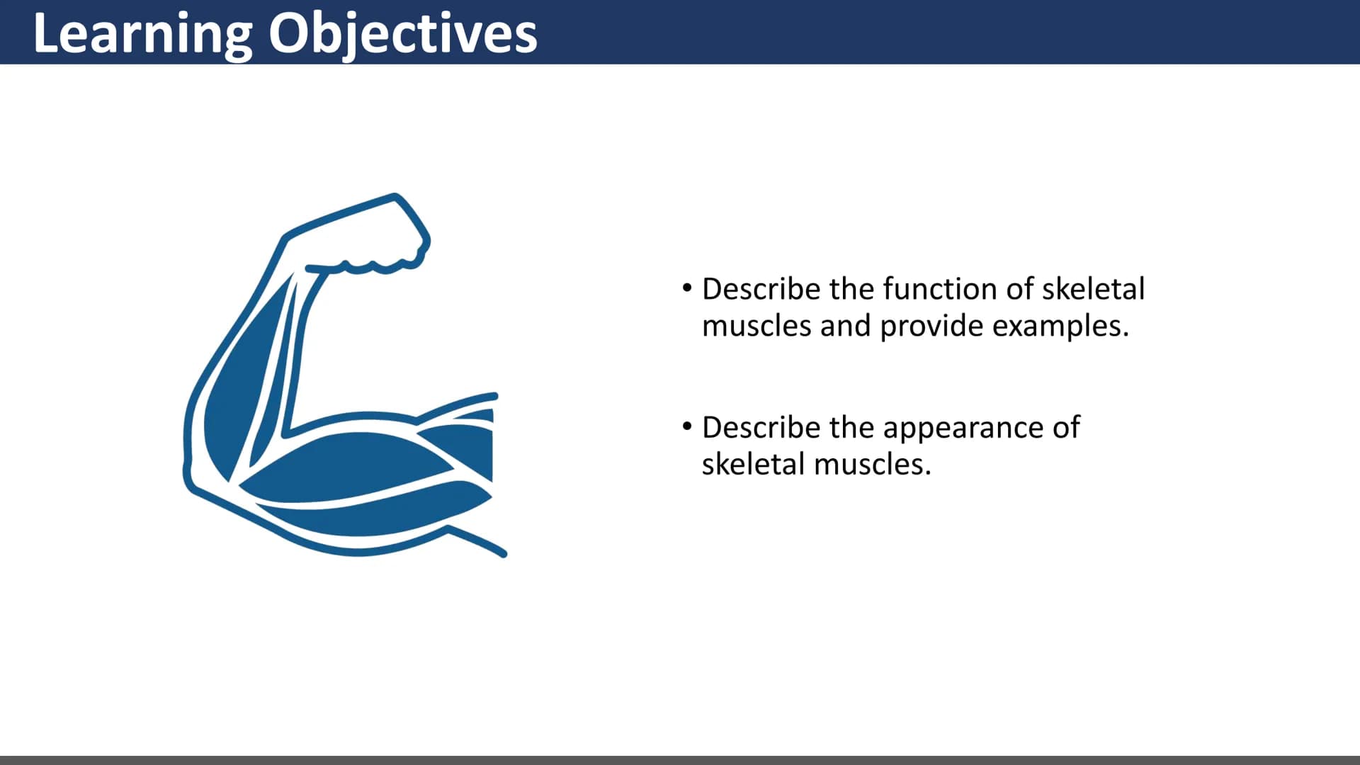 $$
Muscular System
Unit 2 - Types of Muscles
Lesson 1 - Introduction
s go yo ço Learning Objectives
• Describe the three types of
muscle tis