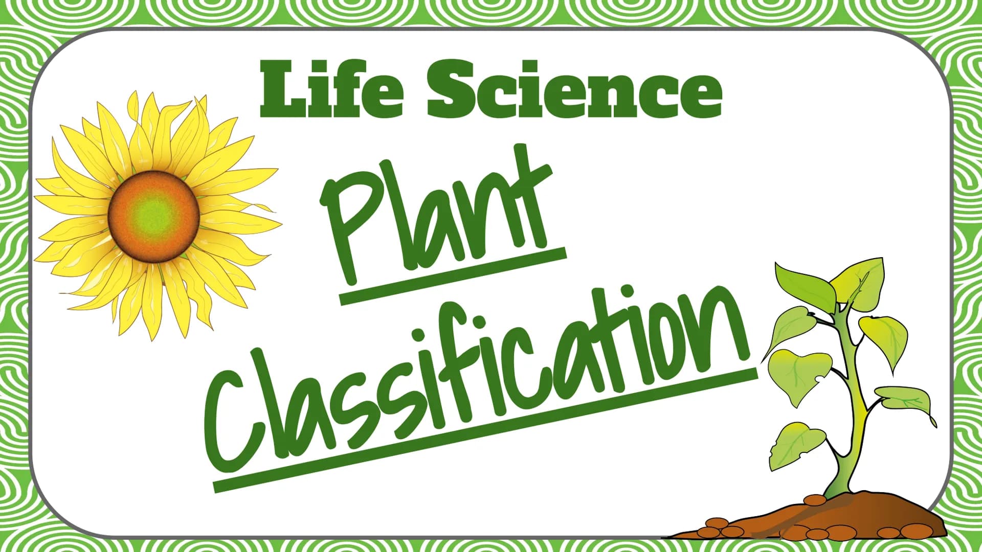 Life Science
Plant
Classification Plant Kingdom
To be a part of the plant kingdom, an
organism has to meet the following
conditions:
Contain