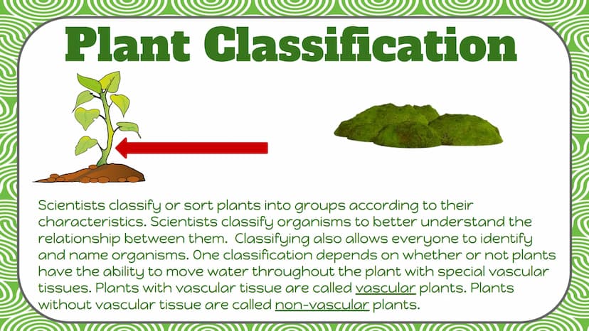 Life Science
Plant
Classification Plant Kingdom
To be a part of the plant kingdom, an
organism has to meet the following
conditions:
Contain