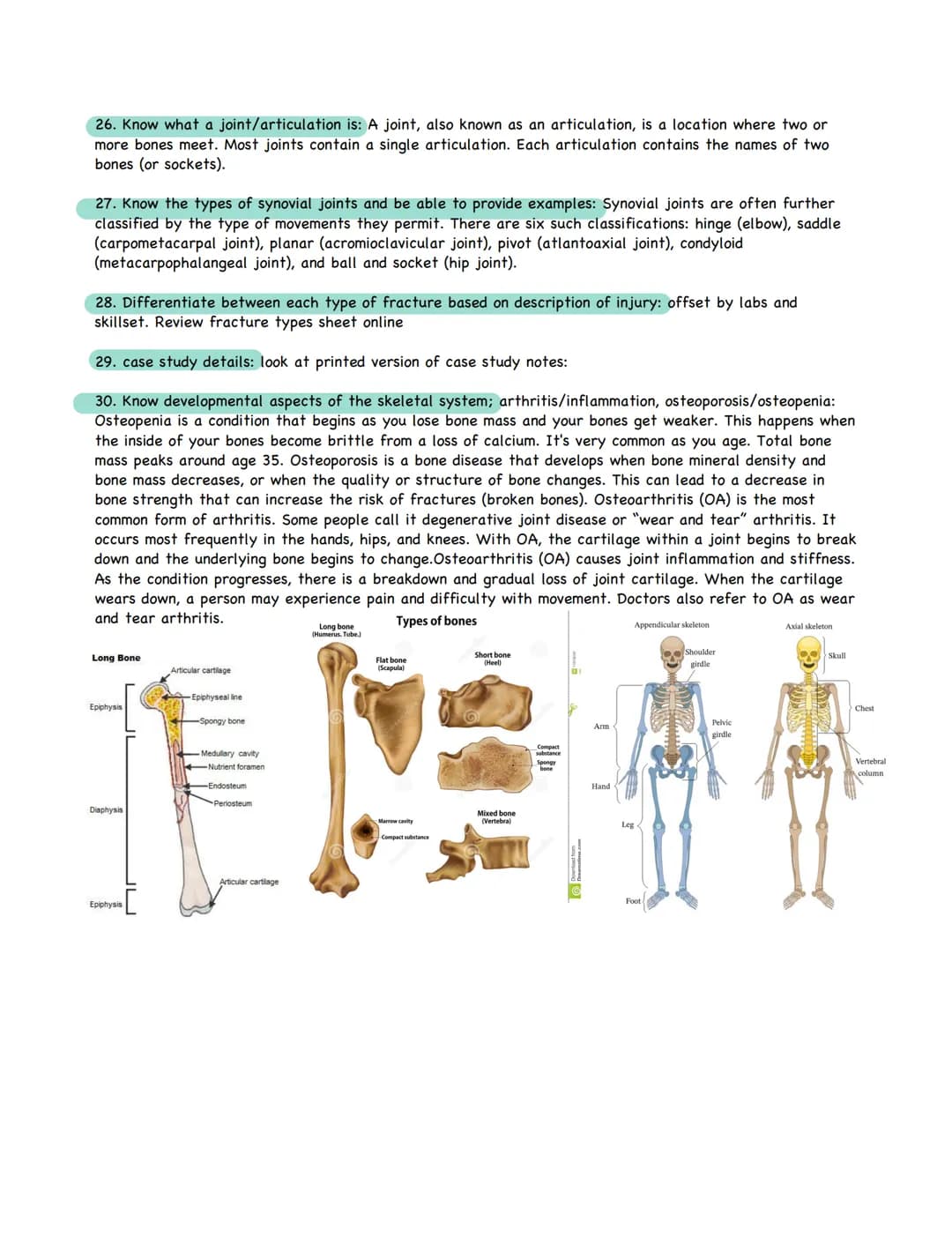 
<p>Long bones serve the purpose of providing strength, structure, and mobility. The femur, or thigh bone, is an example of a long bone. Des