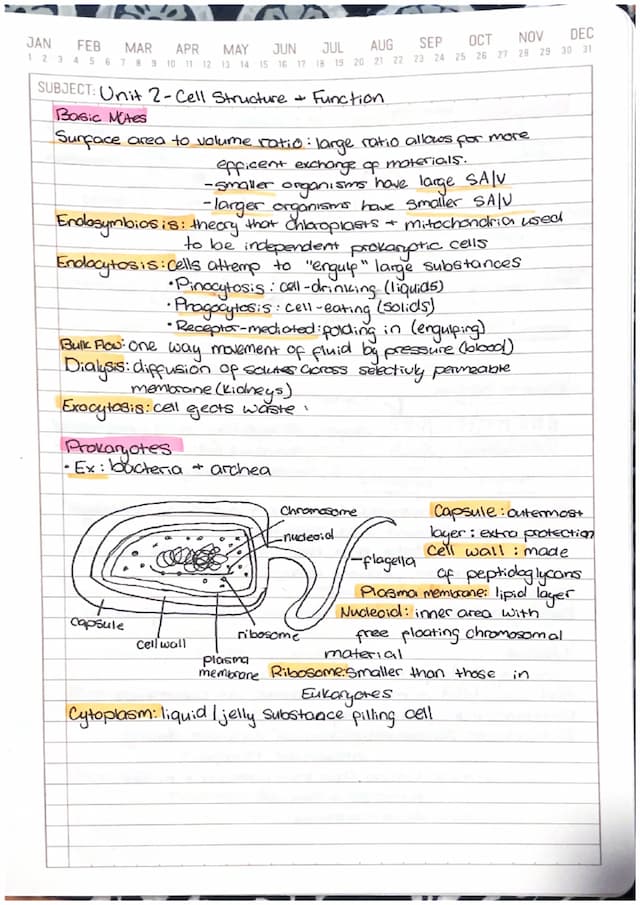 Know AP bio unit 2 thumbnail