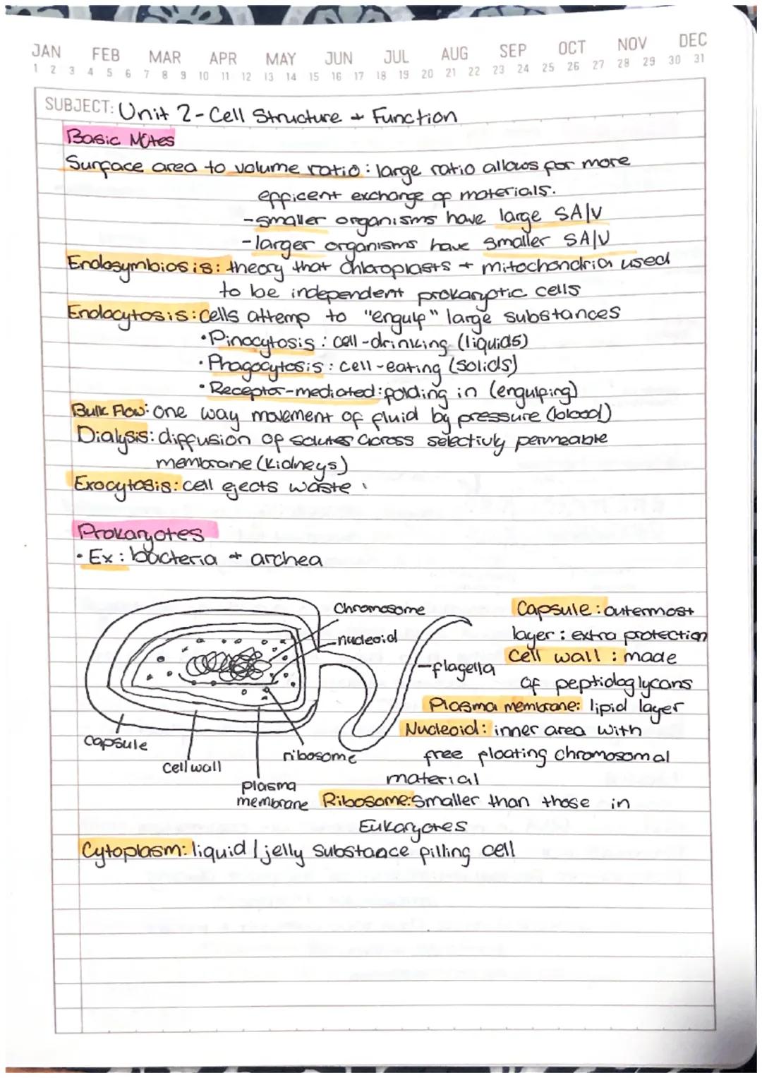 AP Bio Unit 2: Cell Structure Fun and Endosymbiosis