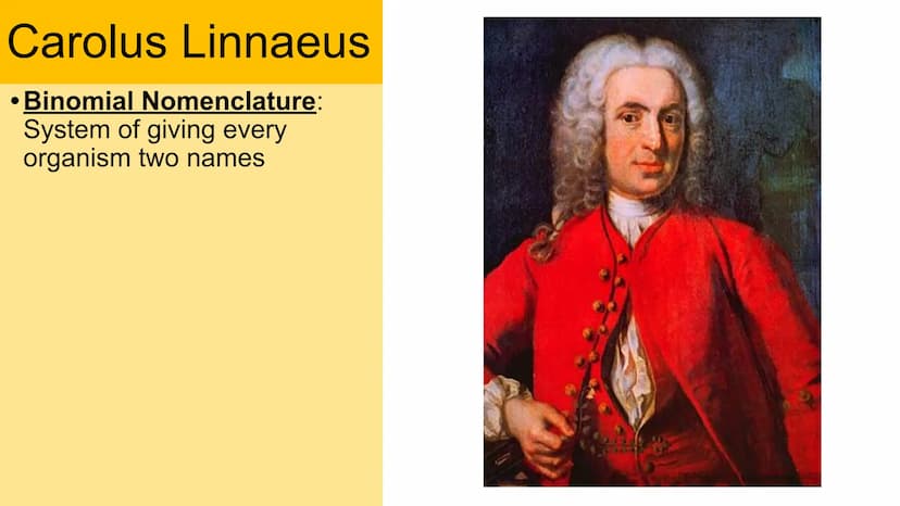 Classification
Domain
Kingdom
Phylum
Class
Order
Family
Genus
Species Carolus Linnaeus
• Binomial Nomenclature:
System of giving every
organ