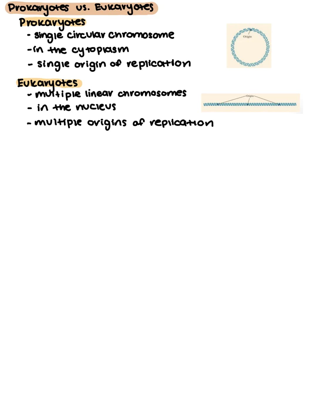 
<h2 id="recognitionoforiginsofreplication">Recognition of Origins of Replication</h2>
<p>In DNA replication, the process begins with the re