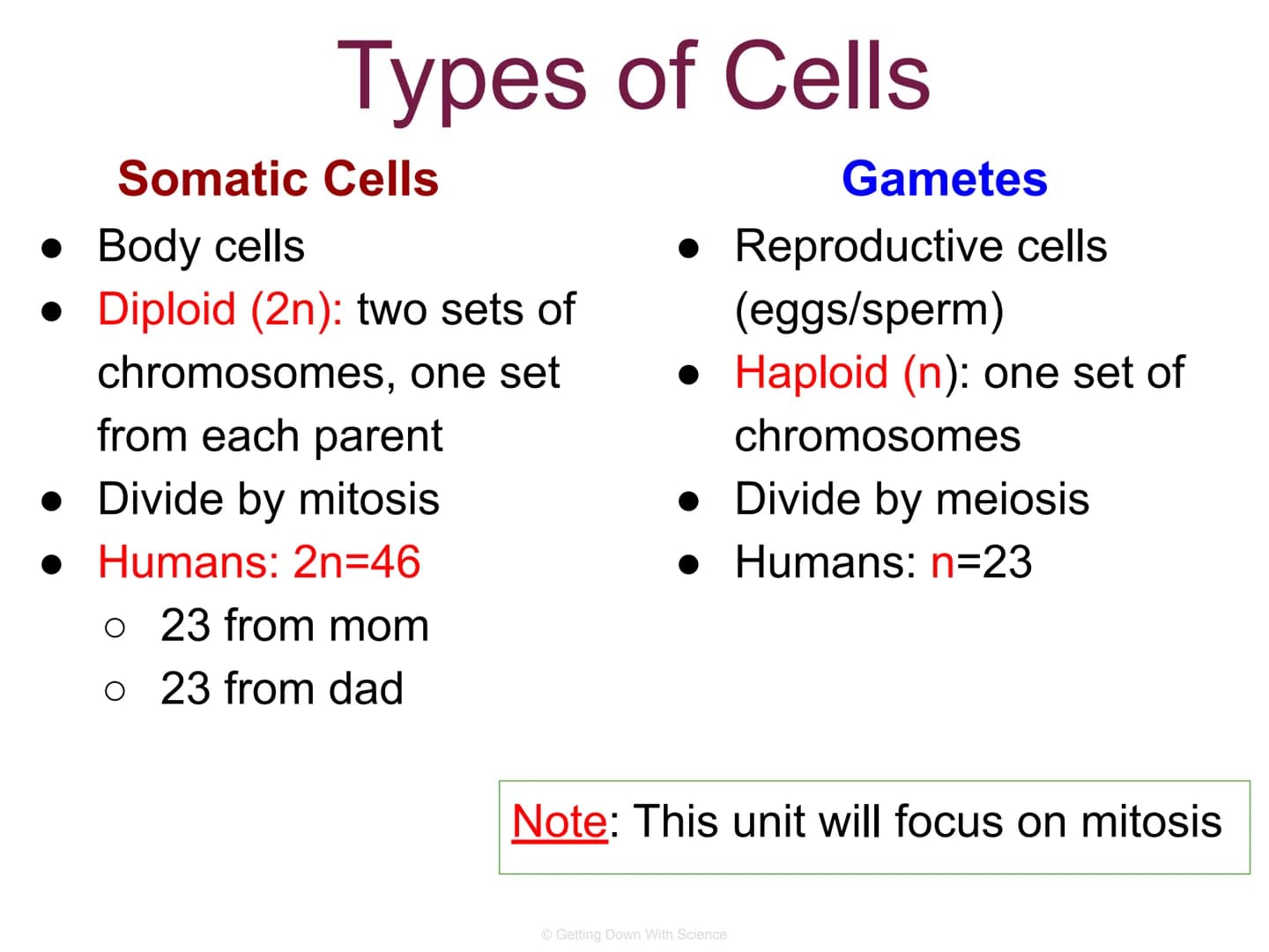 
<p>The cell division process is an integral part of life. It allows for the reproduction of cells, growth of cells, and tissue repair.</p>
