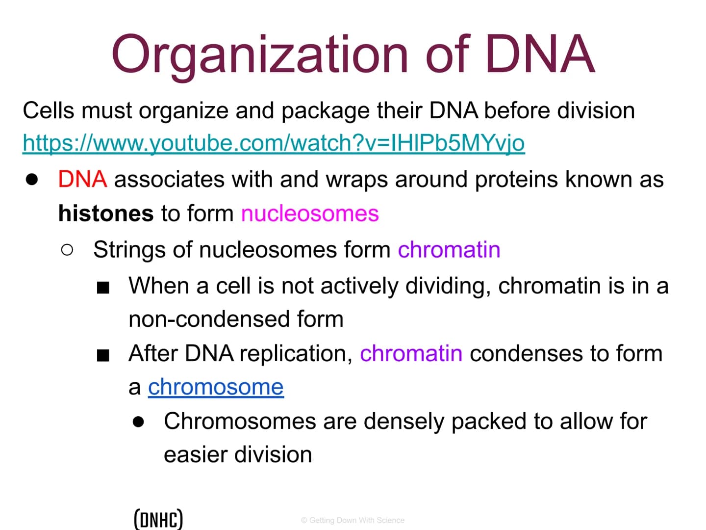 
<p>The cell division process is an integral part of life. It allows for the reproduction of cells, growth of cells, and tissue repair.</p>
