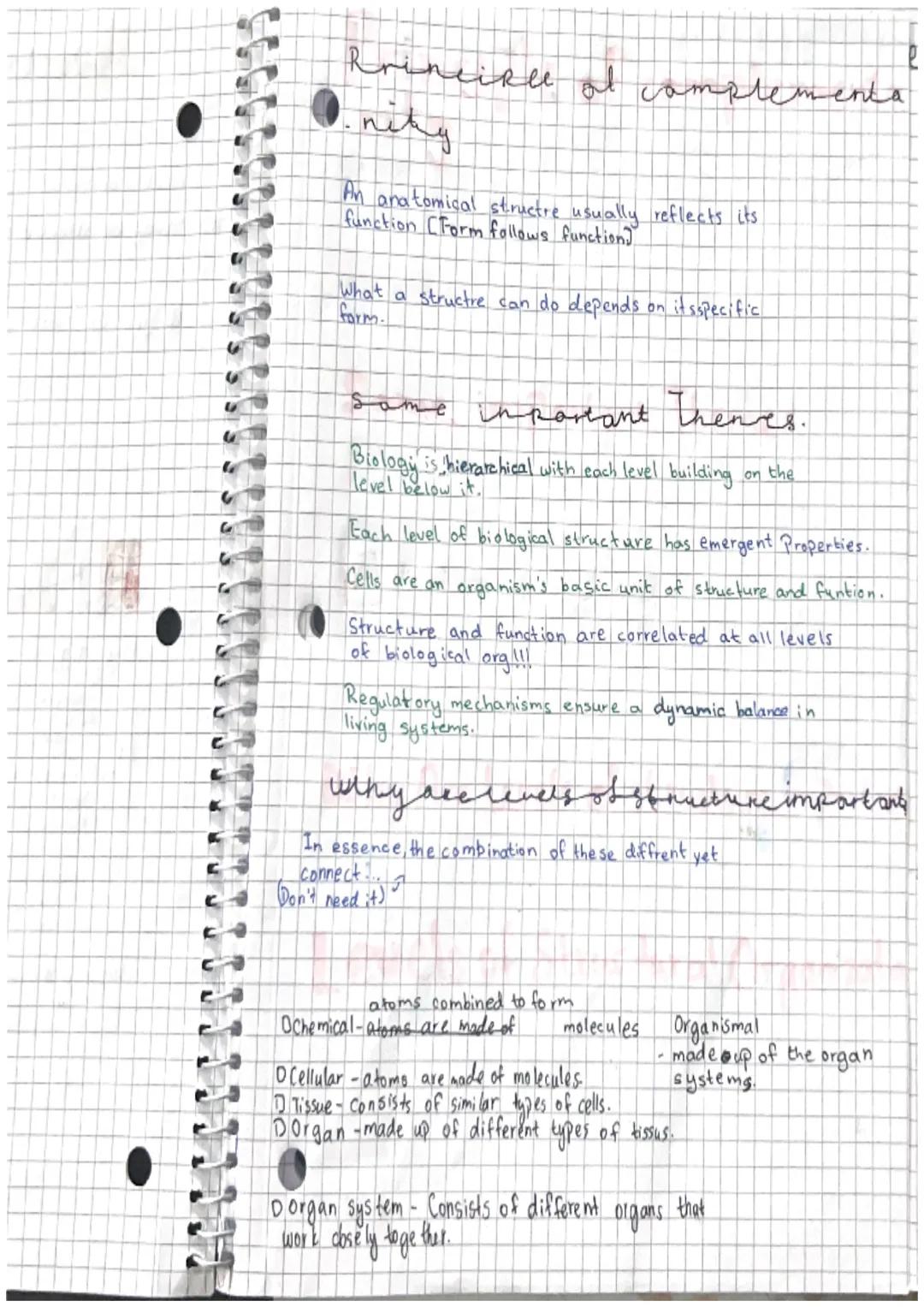 Directional Terms and Joint Moveme
Ent.
Anatomical Position
.
esp in dicatur
Region
Regi
Cephalic
covical
Abdering
PEME
P
Pubic
Sug Hal
Pian