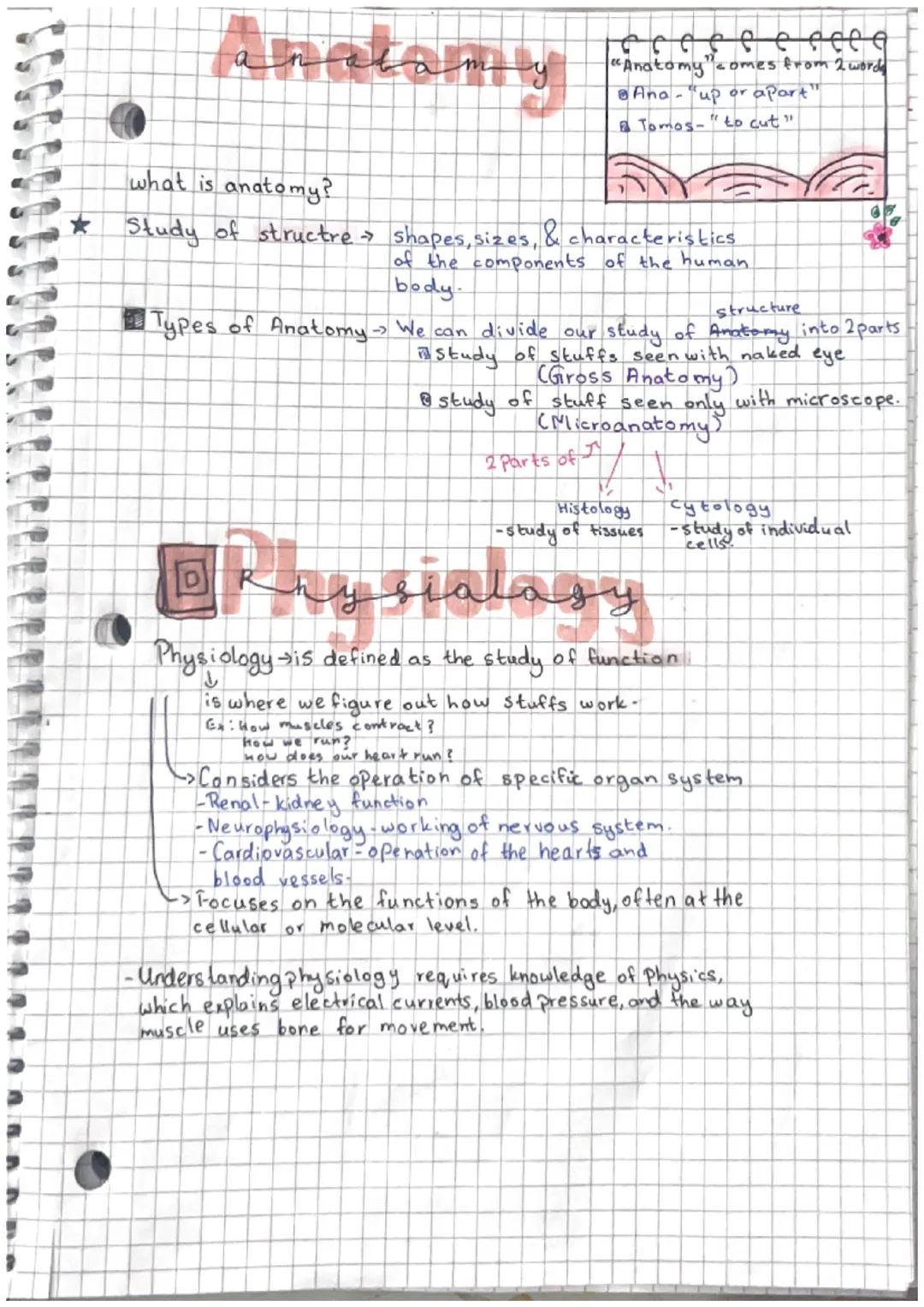 Directional Terms and Joint Moveme
Ent.
Anatomical Position
.
esp in dicatur
Region
Regi
Cephalic
covical
Abdering
PEME
P
Pubic
Sug Hal
Pian