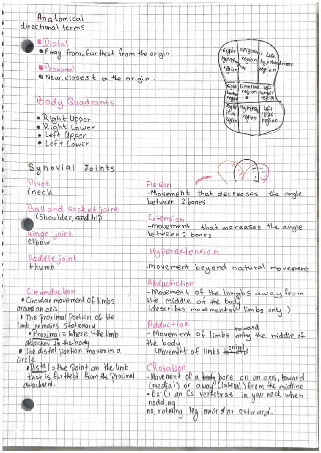 Directional Terms and Joint Moveme
Ent.
Anatomical Position
.
esp in dicatur
Region
Regi
Cephalic
covical
Abdering
PEME
P
Pubic
Sug Hal
Pian