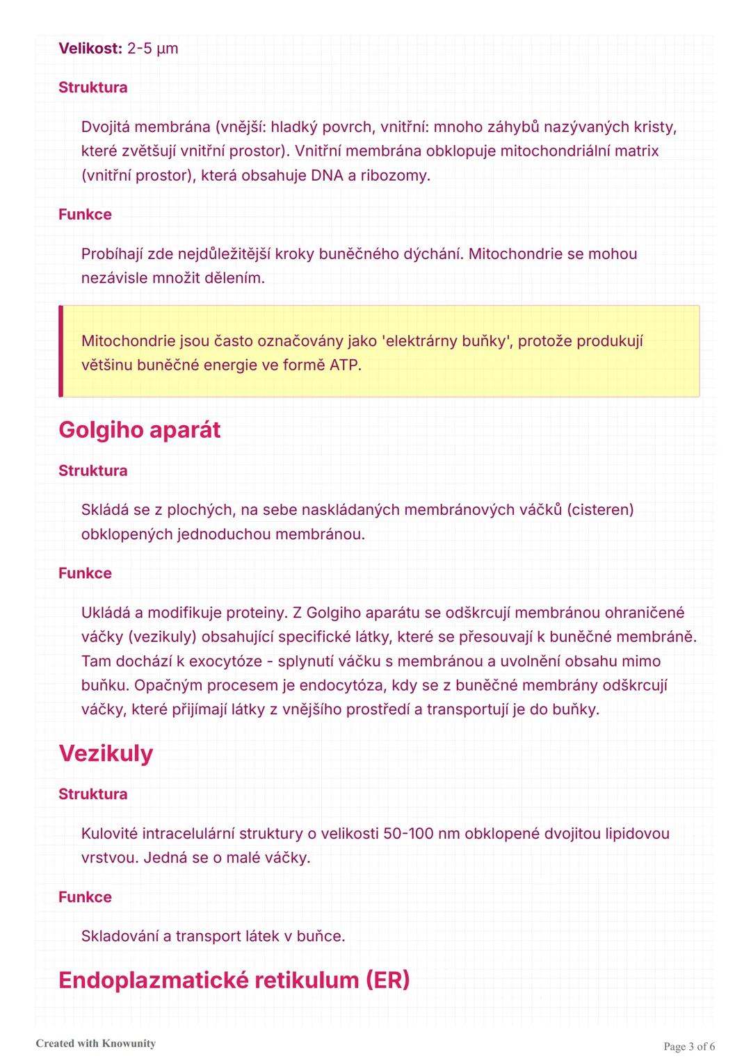 Buněčné organely
Struktura a funkce buněčných organel v živočišných a rostlinných buňkách.
Buněčné organely
Buněčné organely jsou specializo
