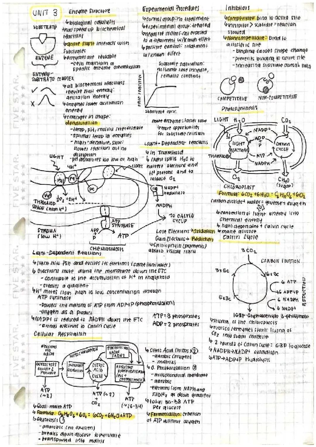 AP Biology Unit 3 Overview 