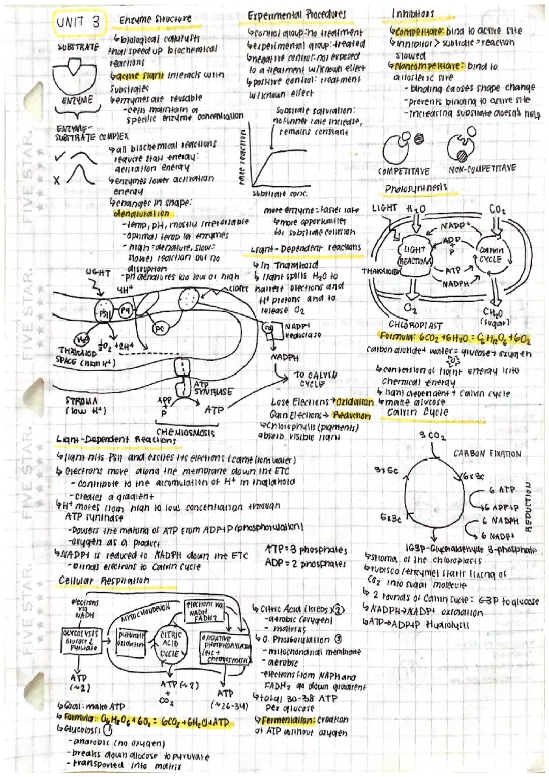 FIVE STAR.
FIVE STAR.
FIVE STAR.
FIVE STAR.
UNIT 3
SUBSTRATE
ENZYME
ENTYME
SUBITRATE COMPLEX
Enzyme Structure
biological catalysts
that spee