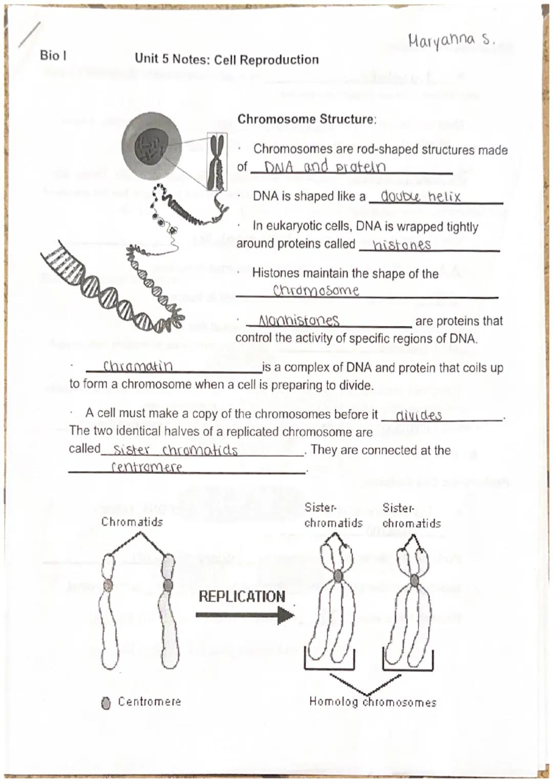 Biol
Unit 5 Notes: Cell Reproduction
ID0000
DONNE
Chromatids
Chromosome Structure:
Chromosomes are rod-shaped structures made
of DNA and pro