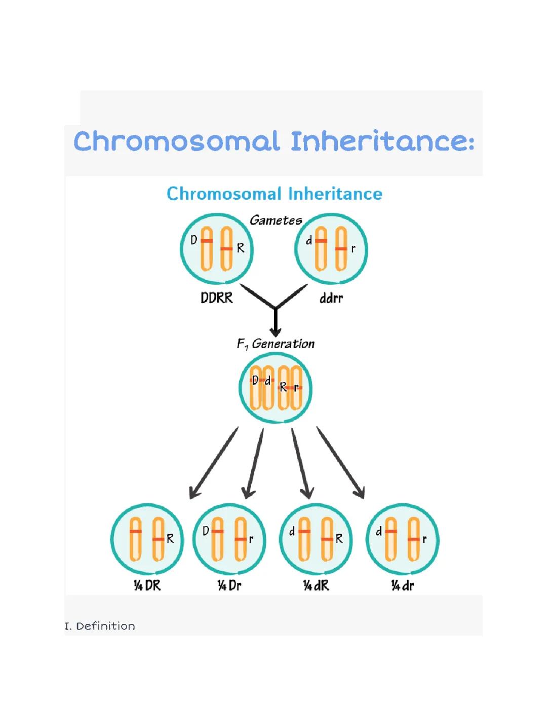 Chromosomal Inheritance Notes