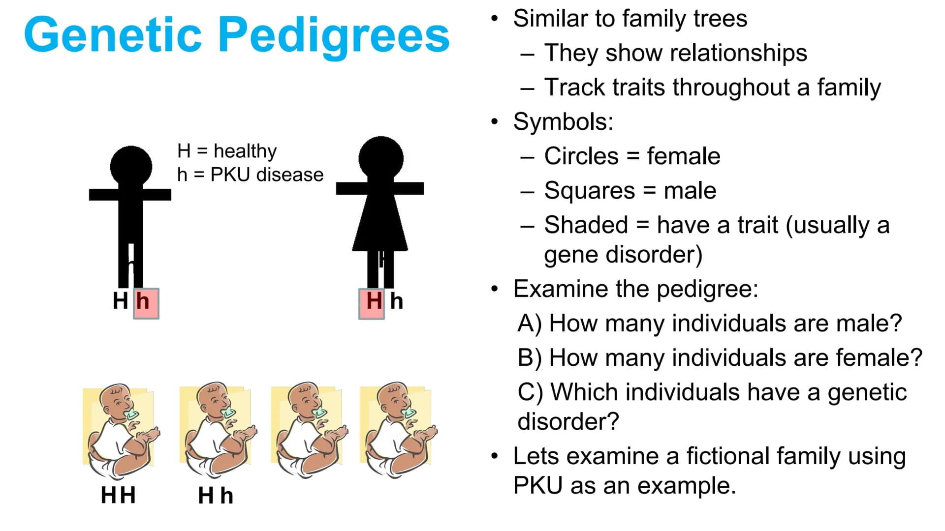 Genetic Pedigrees
O O
Goal: Identify the
genotypes of these
individuals by the
end of this video. Genetic Pedigrees
V
боо
●
Similar to famil