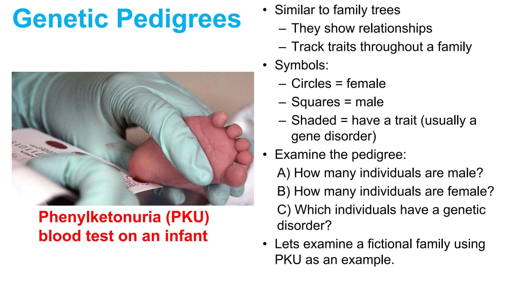 Genetic Pedigrees
O O
Goal: Identify the
genotypes of these
individuals by the
end of this video. Genetic Pedigrees
V
боо
●
Similar to famil