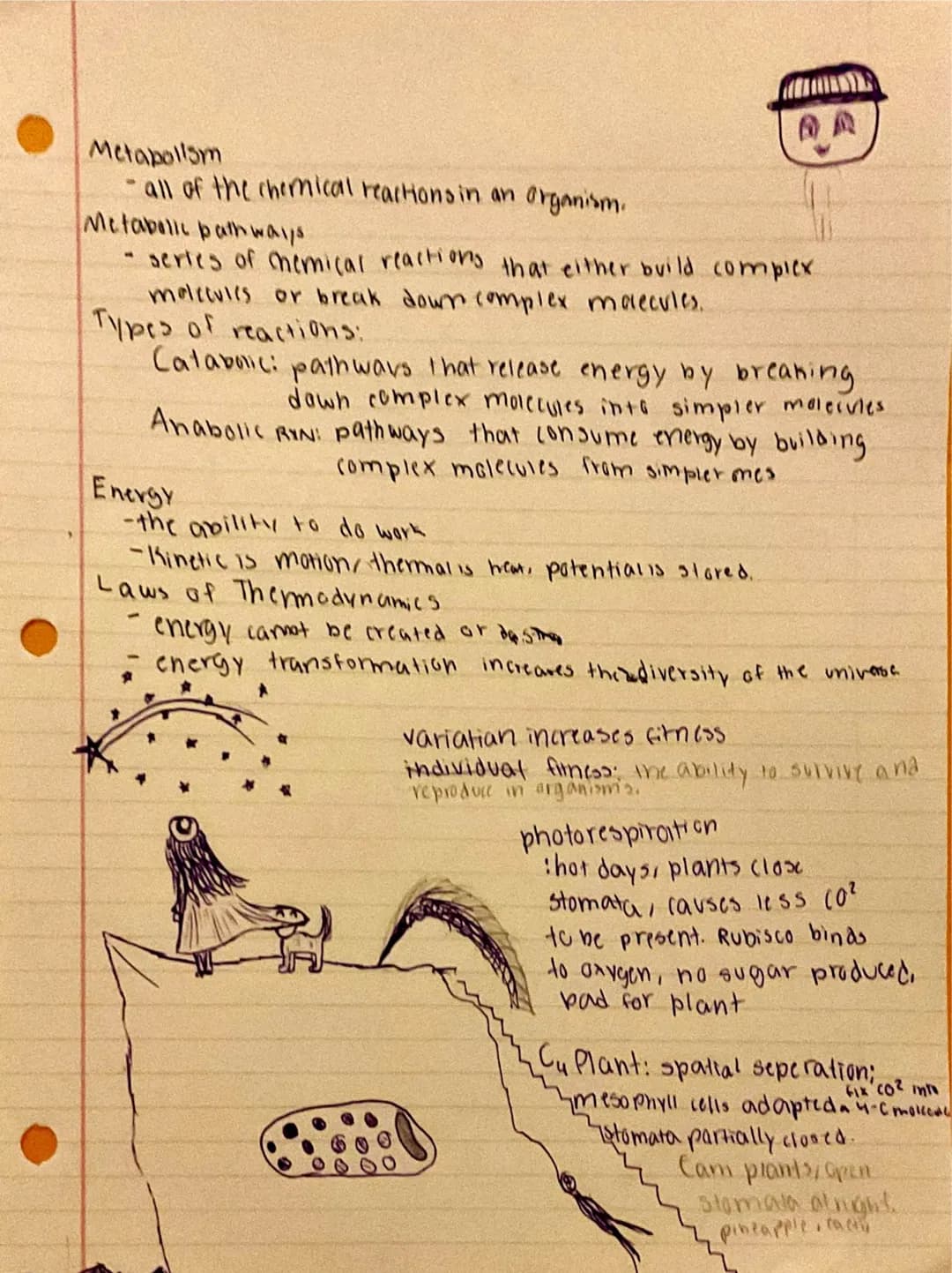 
<h2 id="nullhypothesispractice">Null Hypothesis Practice</h2>
<p>An example of null hypothesis in AP Biology is that there is no correlatio