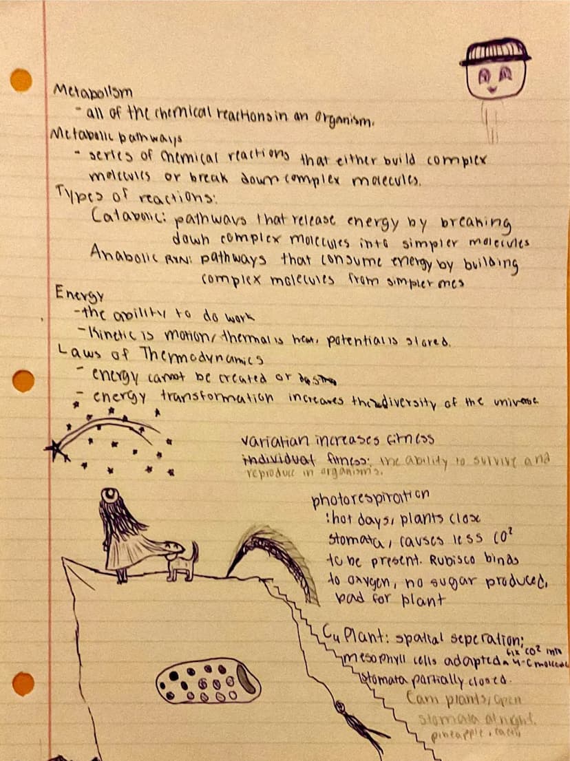 
<h2 id="nullhypothesispractice">Null Hypothesis Practice</h2>
<p>An example of null hypothesis in AP Biology is that there is no correlatio