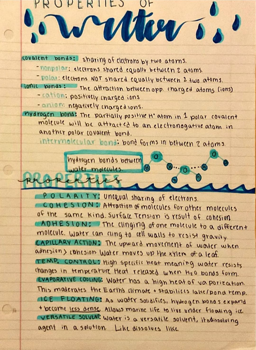 
<h2 id="nullhypothesispractice">Null Hypothesis Practice</h2>
<p>An example of null hypothesis in AP Biology is that there is no correlatio
