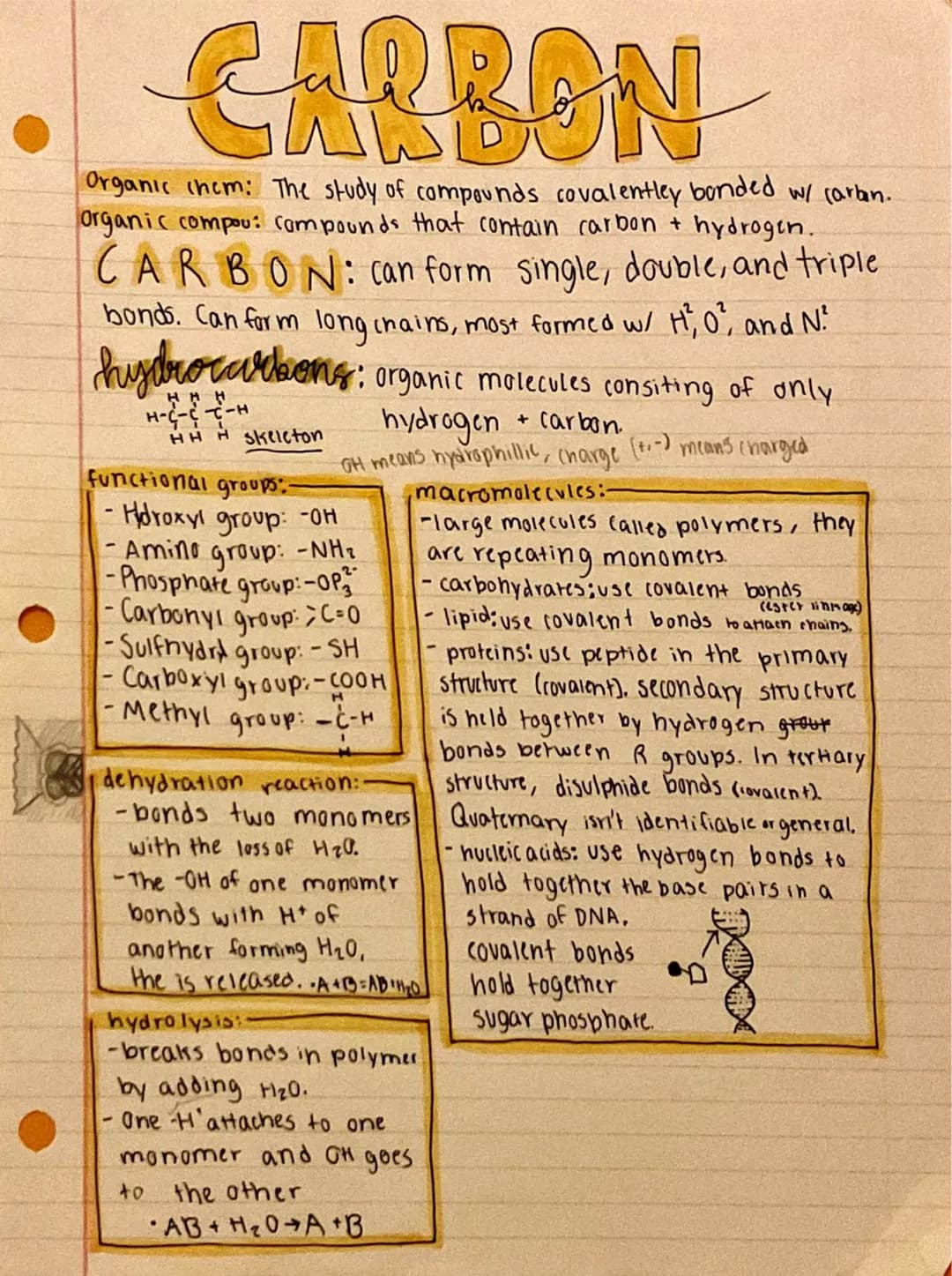 
<h2 id="nullhypothesispractice">Null Hypothesis Practice</h2>
<p>An example of null hypothesis in AP Biology is that there is no correlatio