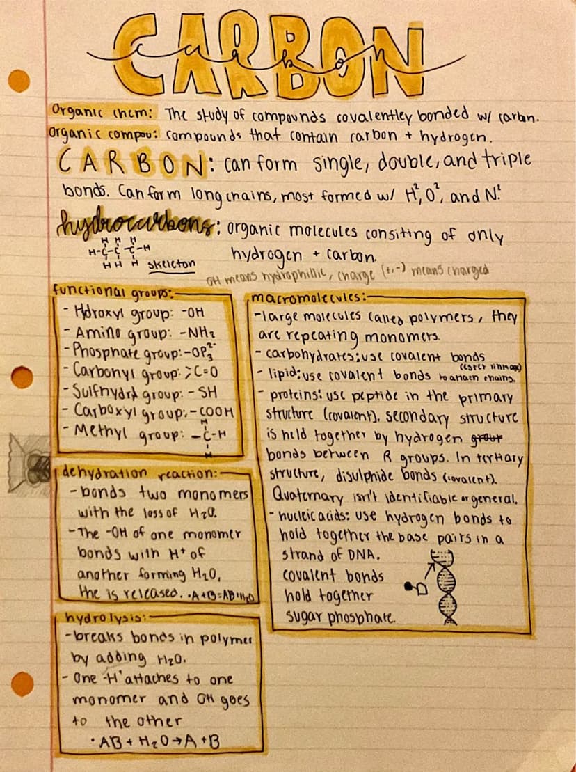 
<h2 id="nullhypothesispractice">Null Hypothesis Practice</h2>
<p>An example of null hypothesis in AP Biology is that there is no correlatio