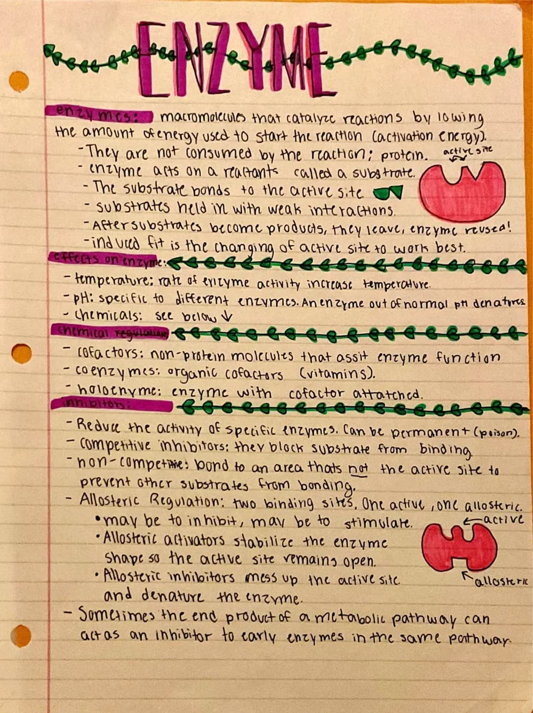 
<h2 id="nullhypothesispractice">Null Hypothesis Practice</h2>
<p>An example of null hypothesis in AP Biology is that there is no correlatio