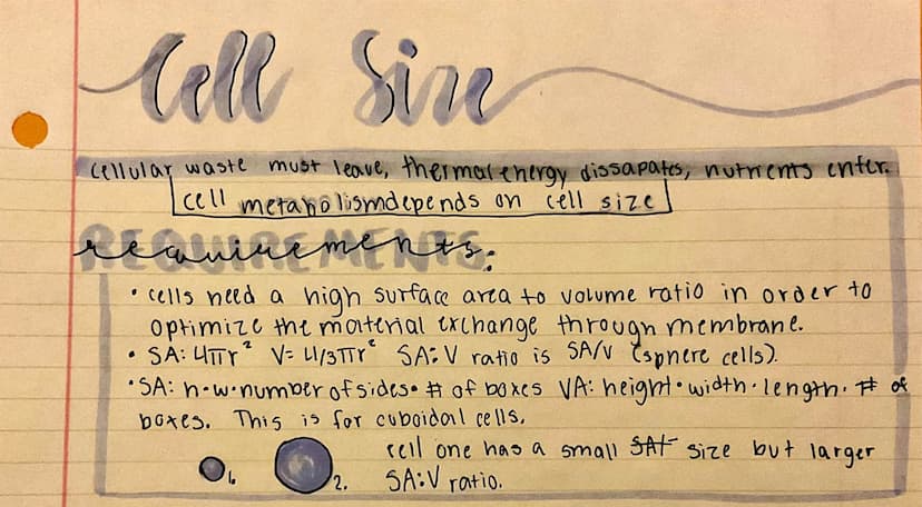 
<h2 id="nullhypothesispractice">Null Hypothesis Practice</h2>
<p>An example of null hypothesis in AP Biology is that there is no correlatio