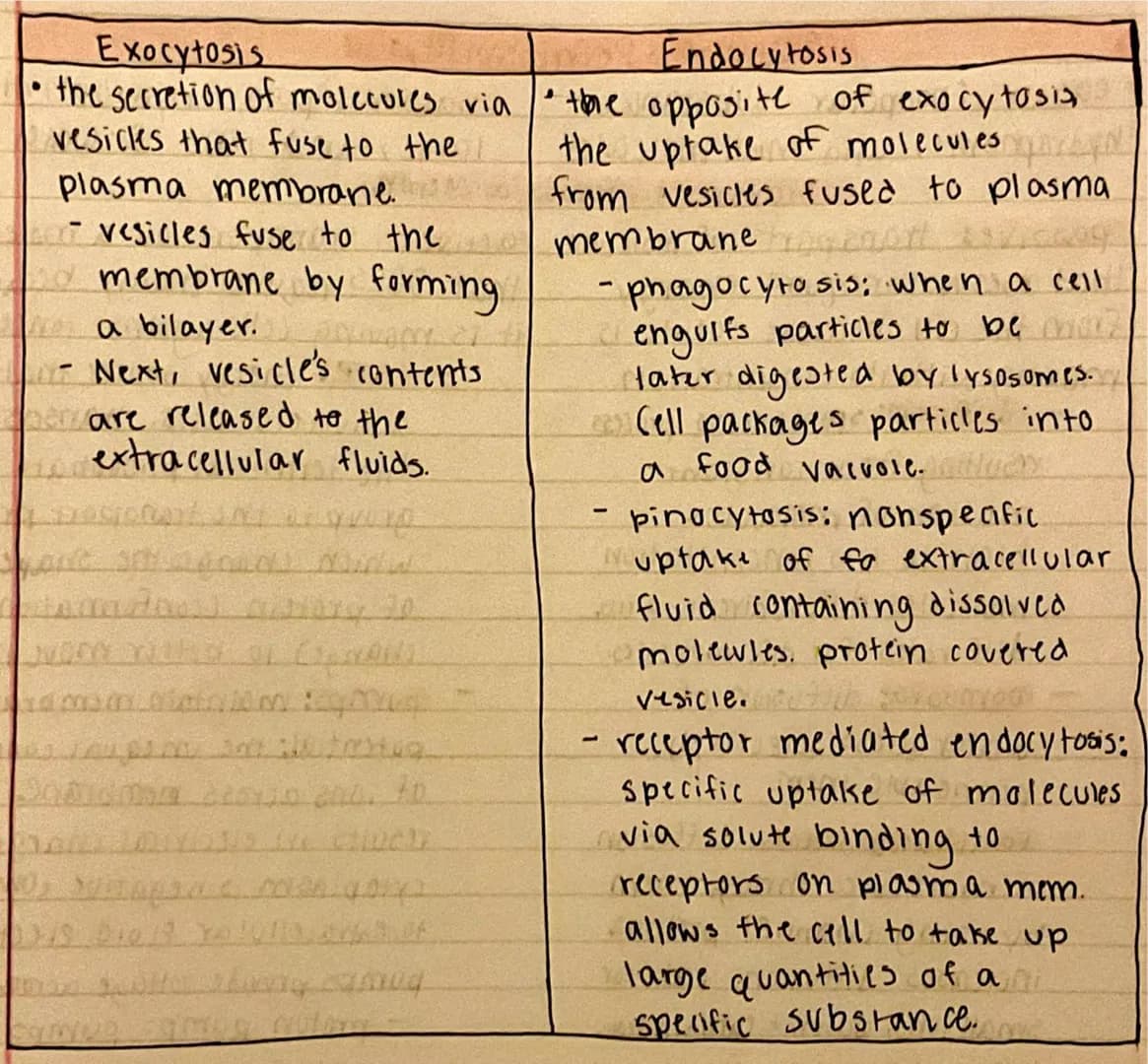 
<h2 id="nullhypothesispractice">Null Hypothesis Practice</h2>
<p>An example of null hypothesis in AP Biology is that there is no correlatio