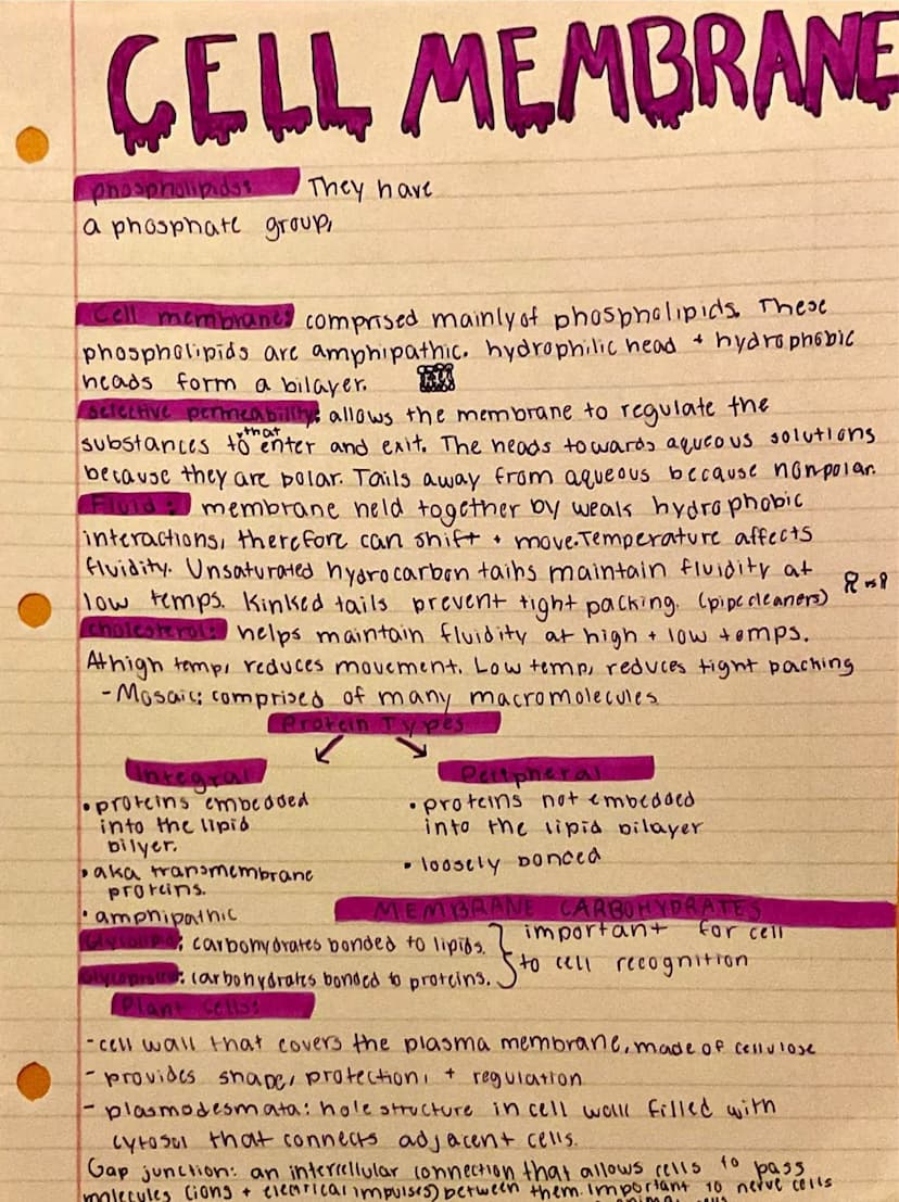 
<h2 id="nullhypothesispractice">Null Hypothesis Practice</h2>
<p>An example of null hypothesis in AP Biology is that there is no correlatio