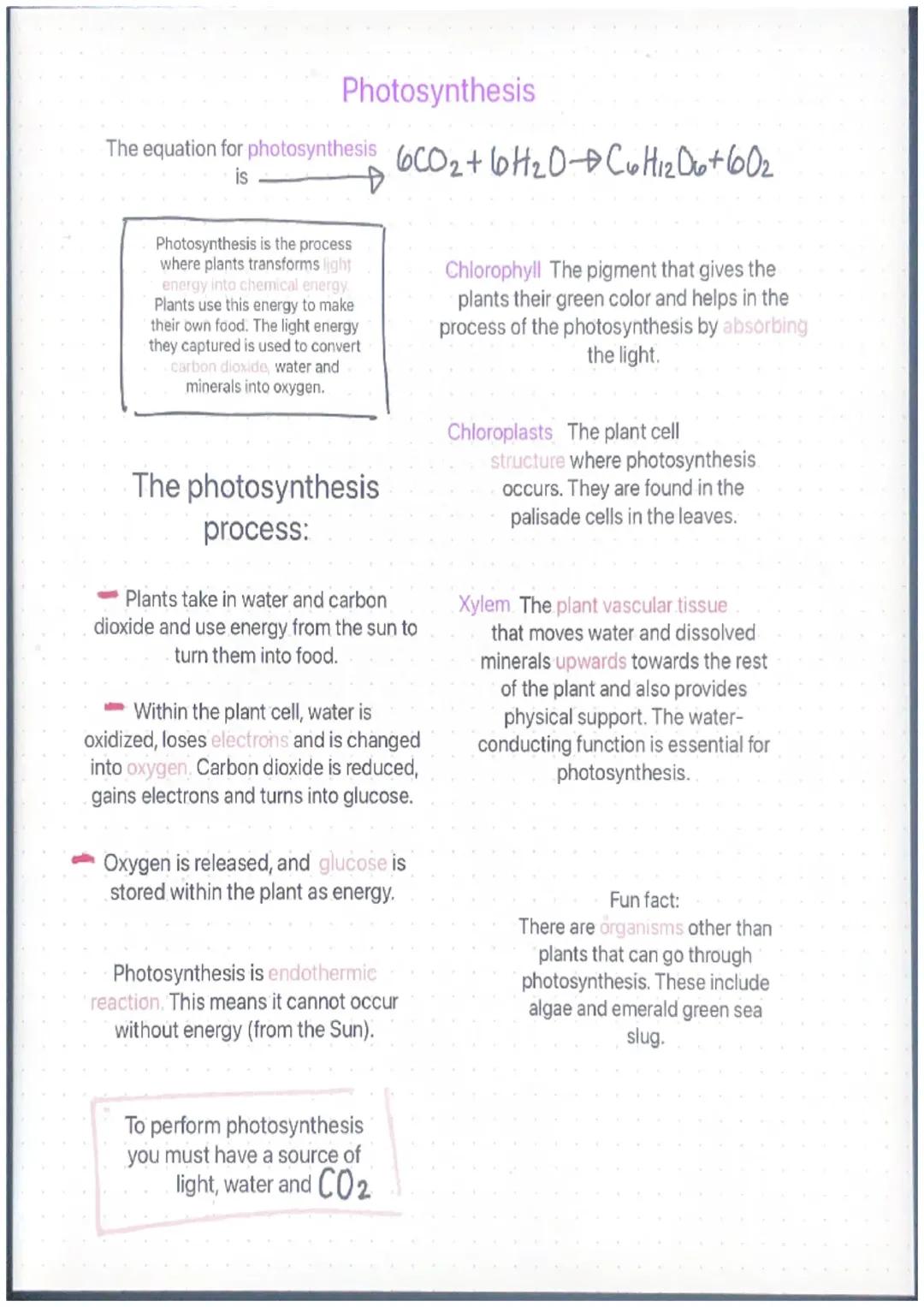 Understanding Photosynthesis