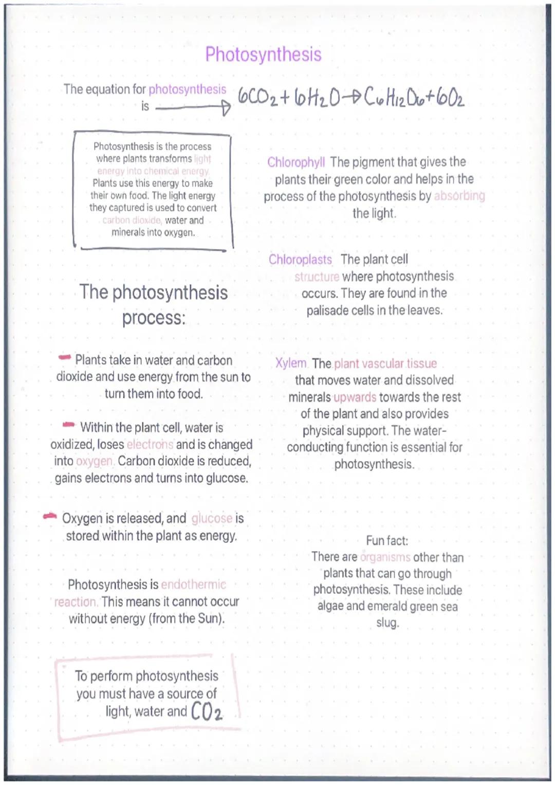 Photosynthesis
The equation for photosynthesis 6CO₂ + 6H₂0C6H₁₂O6 +60₂
is
D
Photosynthesis is the process
where plants transforms light
ener