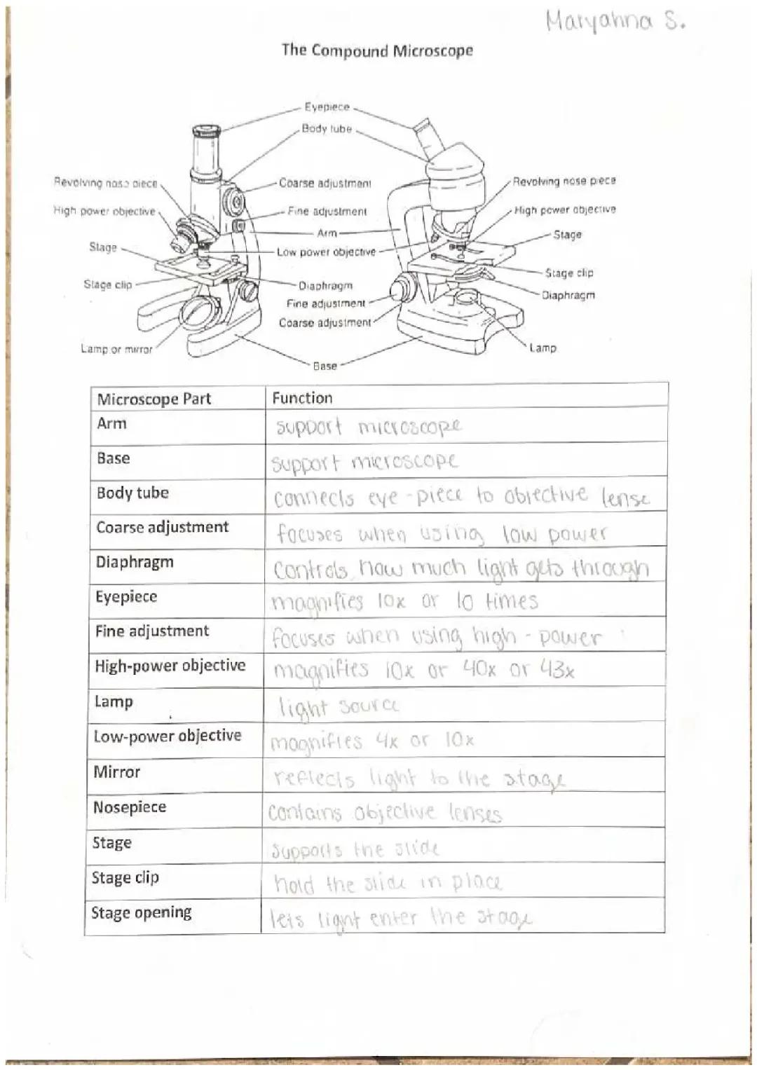 The compound microscope functions and questions 