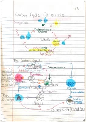 Know Carbon Cycle Notes thumbnail