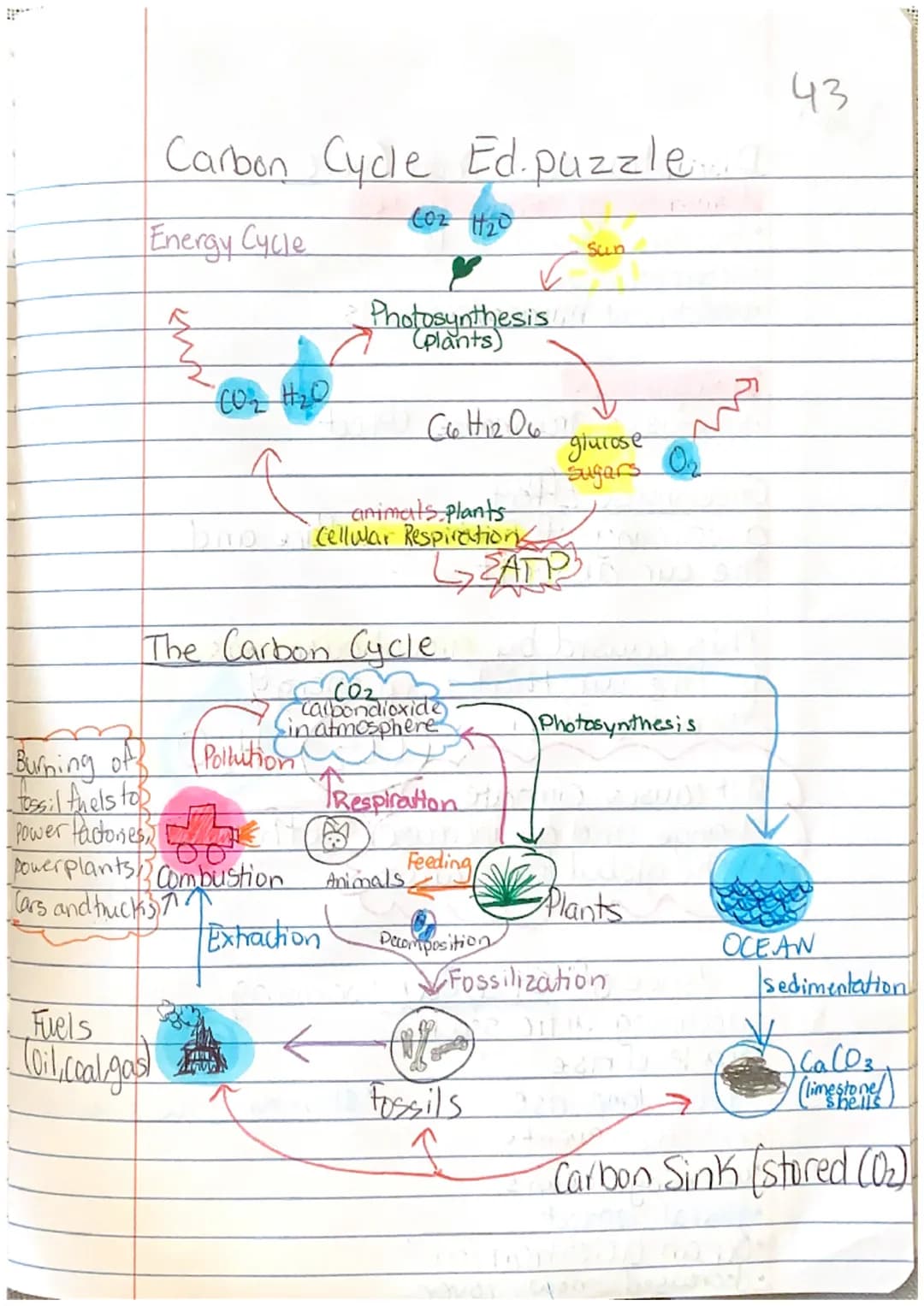Carbon Cycle
Energy Cycle
CO2 H2O
bre
Fuels
Coil, coal gas
Burning off
Issil fuels top
Power factones, k
00
power plants Combustion
Cars and