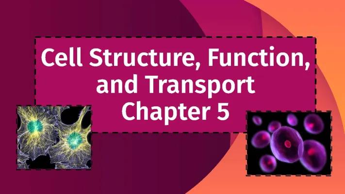 Know Cell Structure, Function, and Transport 1 thumbnail