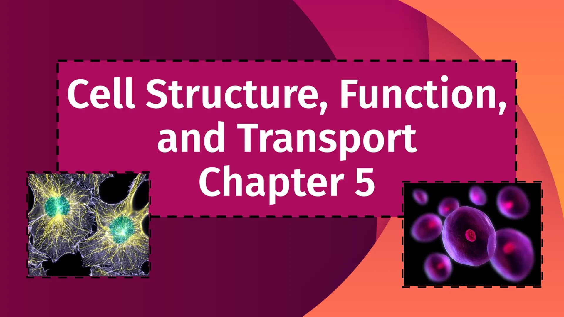 Cell Structure, Function,
and Transport
Chapter 5
|
I
||
|
I
I Plasma Membrane Structure
Membranes are composed of a phospholipid bilayer
Ex