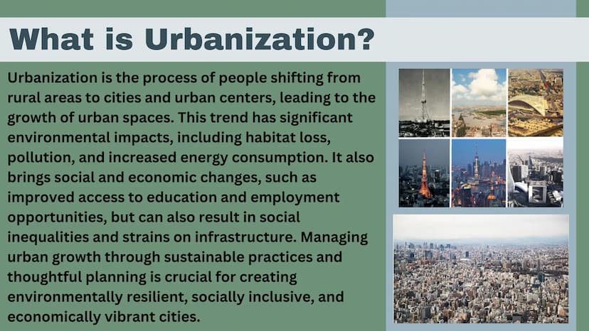 Urbanization
Kate Seiple
II
|||||
IIIII
I What is Urbanization?
Urbanization is the process of people shifting from
rural areas to cities an
