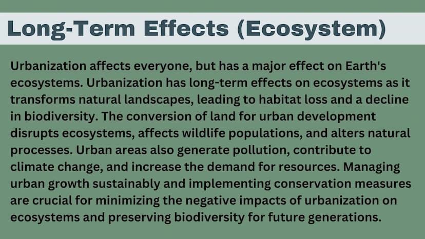 Urbanization
Kate Seiple
II
|||||
IIIII
I What is Urbanization?
Urbanization is the process of people shifting from
rural areas to cities an